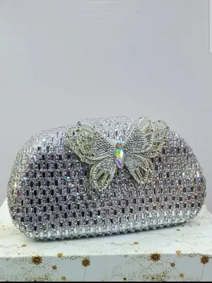 Hard Case Minaudiere Clutch