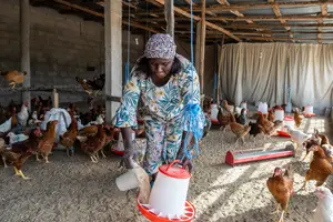 Farm Workers Needed