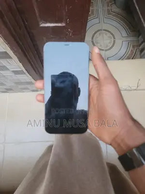 Apple iPhone 12 Pro Max 256 GB Blue