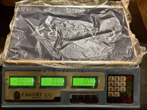 Camry Scale
