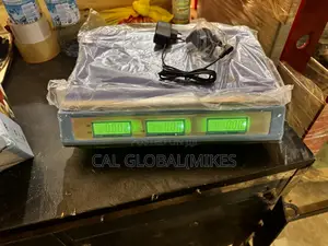 Camry Scale