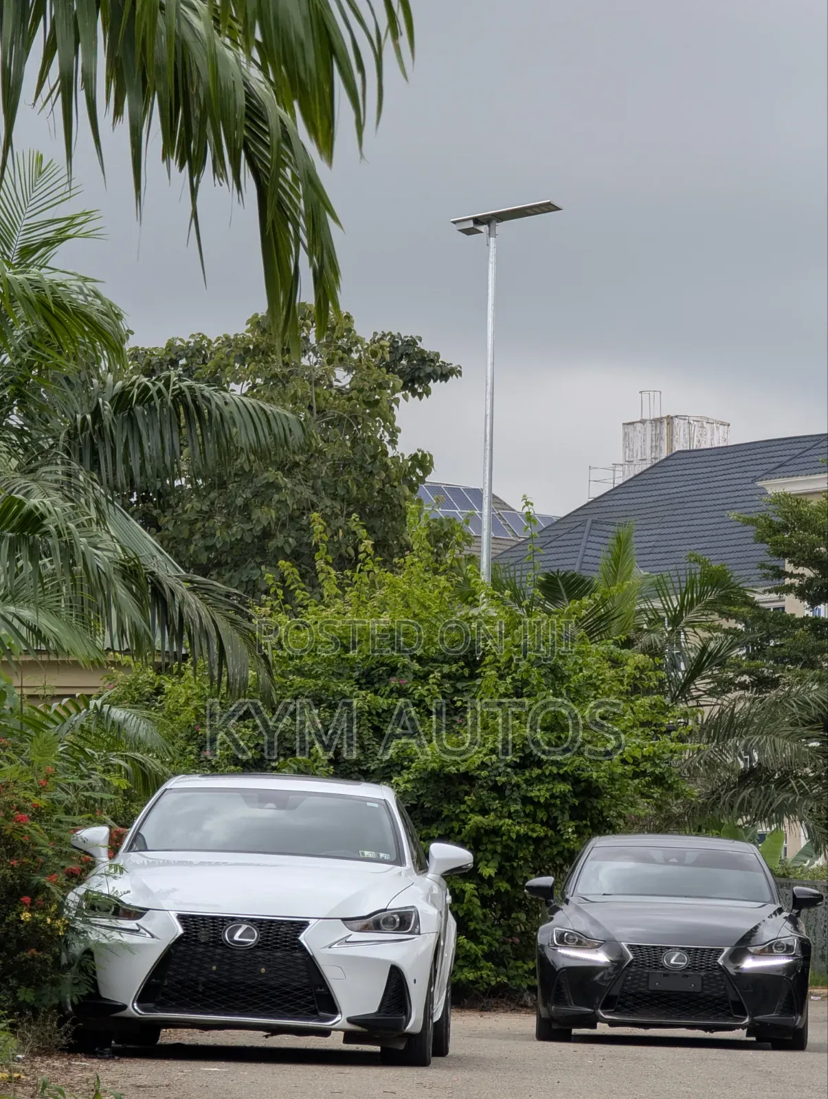 Lexus IS 2017 White