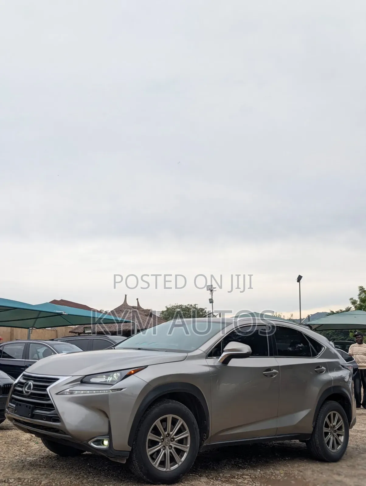 Lexus NX 2017 Gray