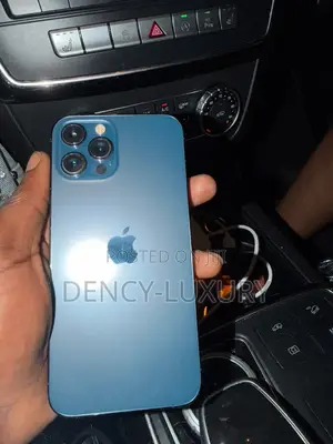 Apple iPhone 12 Pro Max 256 GB Gray