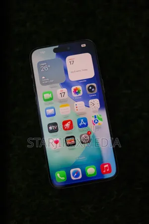 Apple iPhone 15 Pro Max 256 GB