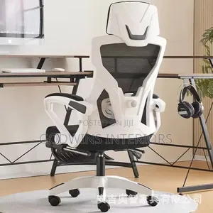 Luxury Ergonomic Office Chair.