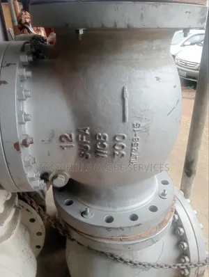 12x300 Check Valve RF Swing