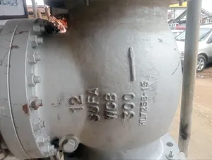 12x300 Check Valve RF Swing