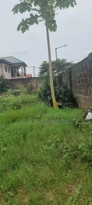A Plot and Little Land for Sale
