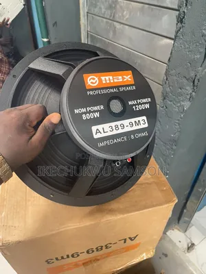 Omax Naked Speaker