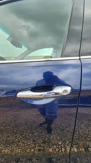 Hyundai Santa Fe 2018 Blue