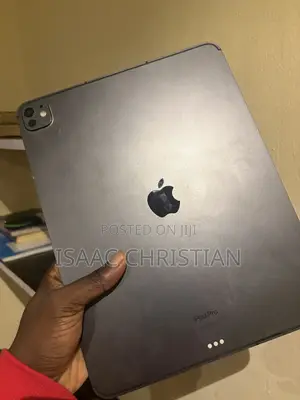 Apple iPad Pro 13 (2024) 256 GB Gray