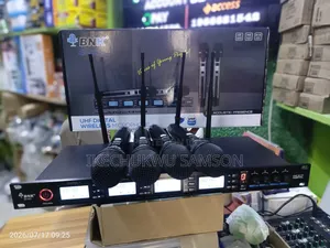 4 in 1 Wireless Microphone