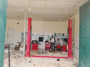 Launch Two Post Car Lift