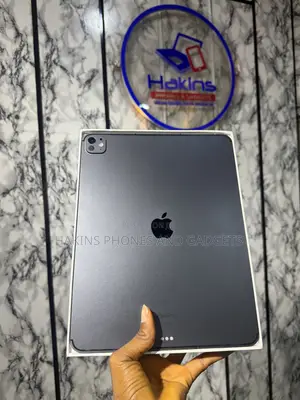 Apple iPad Pro 13 (2024) 256 GB Gray