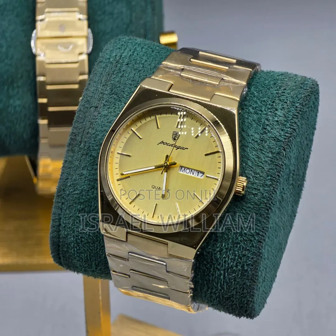 Podegar Steel Watch