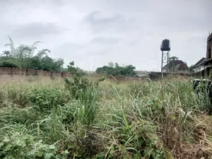 1 Half Plot of Land Available in Divine Estate