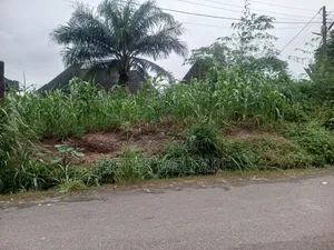 1 Half Plot Available Opposite Prince Paul Ikonne Estate