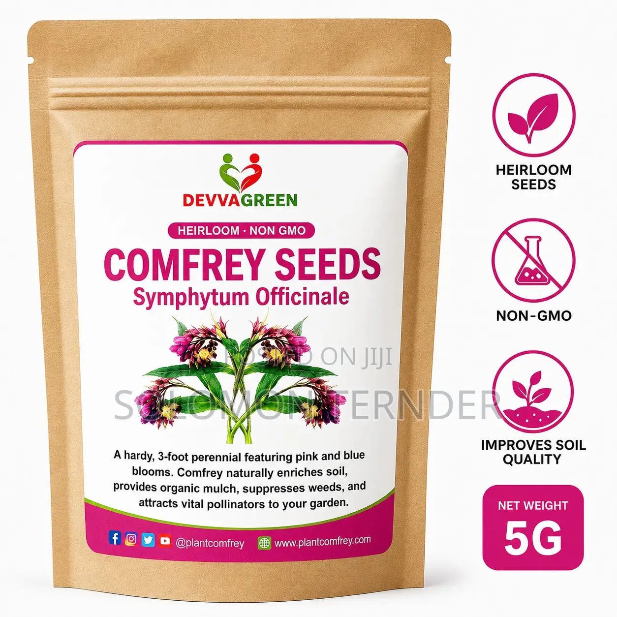 Comfrey Seeds for Planting