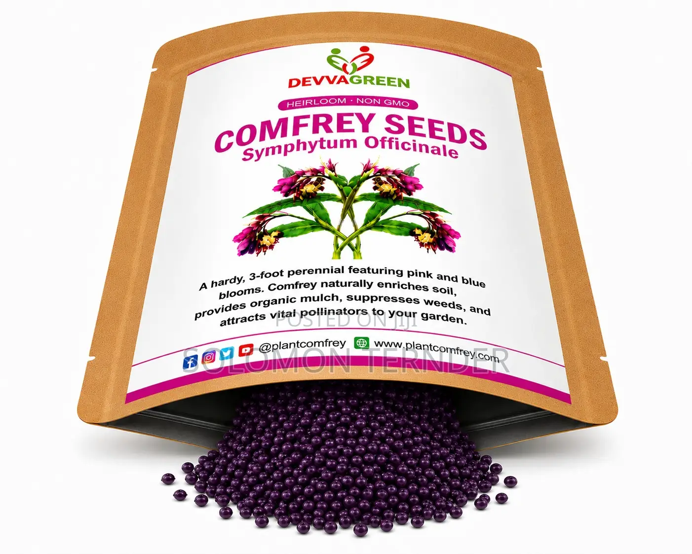 Comfrey Seeds for Planting
