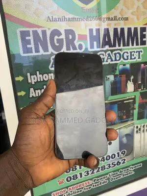 Apple iPhone 12 Pro Max 256 GB Gray