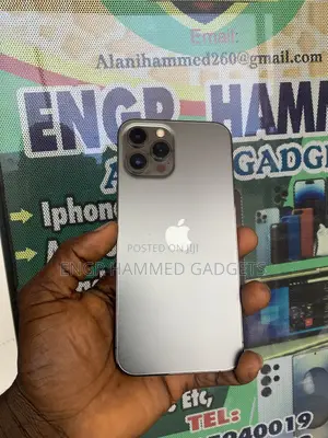Apple iPhone 12 Pro Max 256 GB Gray