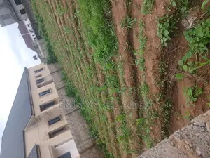 Sharp R of O Land for Sale at Ushafa Bwari Abuja Very Good Location