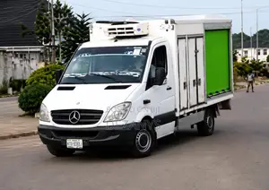 Benz Cooler Van
