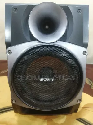 Sony Massive Speaker