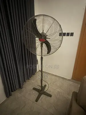 The OX's Biggest Fan