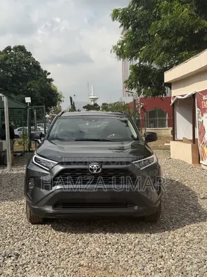 Toyota RAV4 LE AWD 2020 Gray