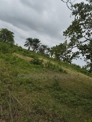 65 Acres of Farmland at Alofe Village Off Iseyin-Ogbomoso, Oyo State