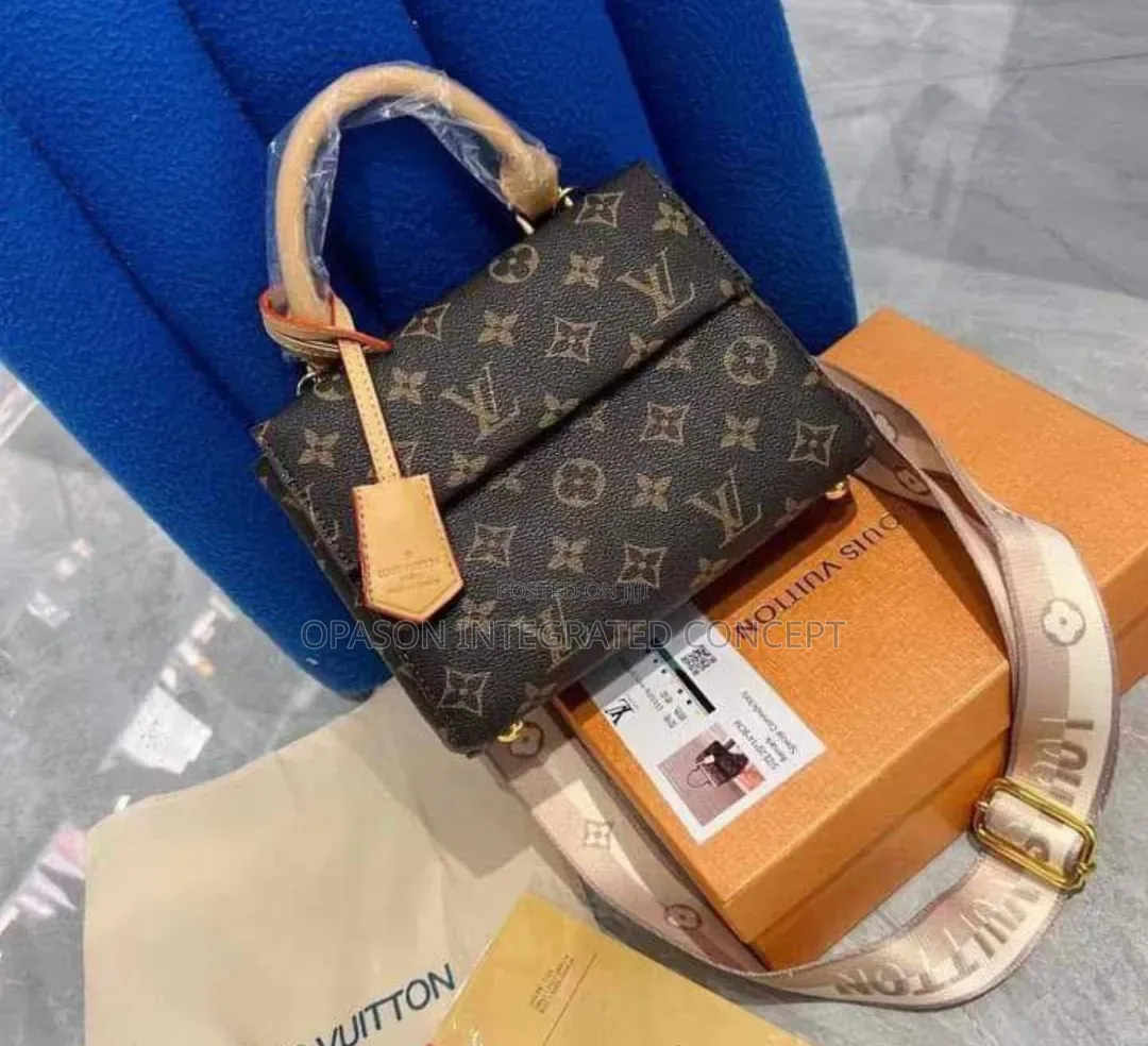 Louis Vuitton Bag Available