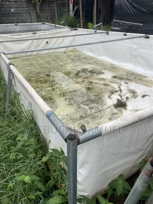 Fish Ponds