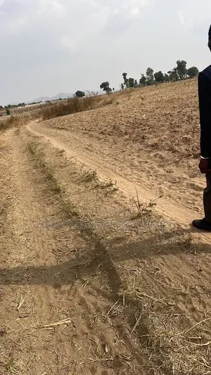 Hectares of Land at Ketti - Kabusa.