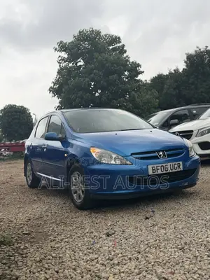 Peugeot 307 2009 Blue