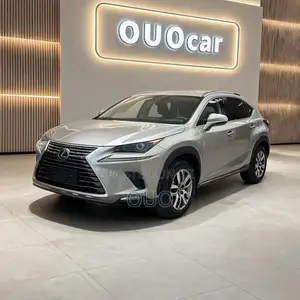 Lexus NX 300 FWD 2018 Gray