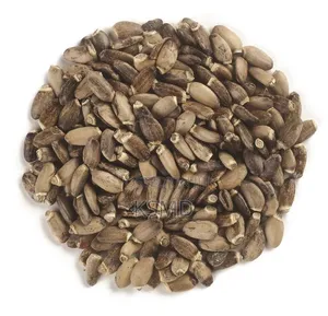 Milk Thistle Seed (250g)