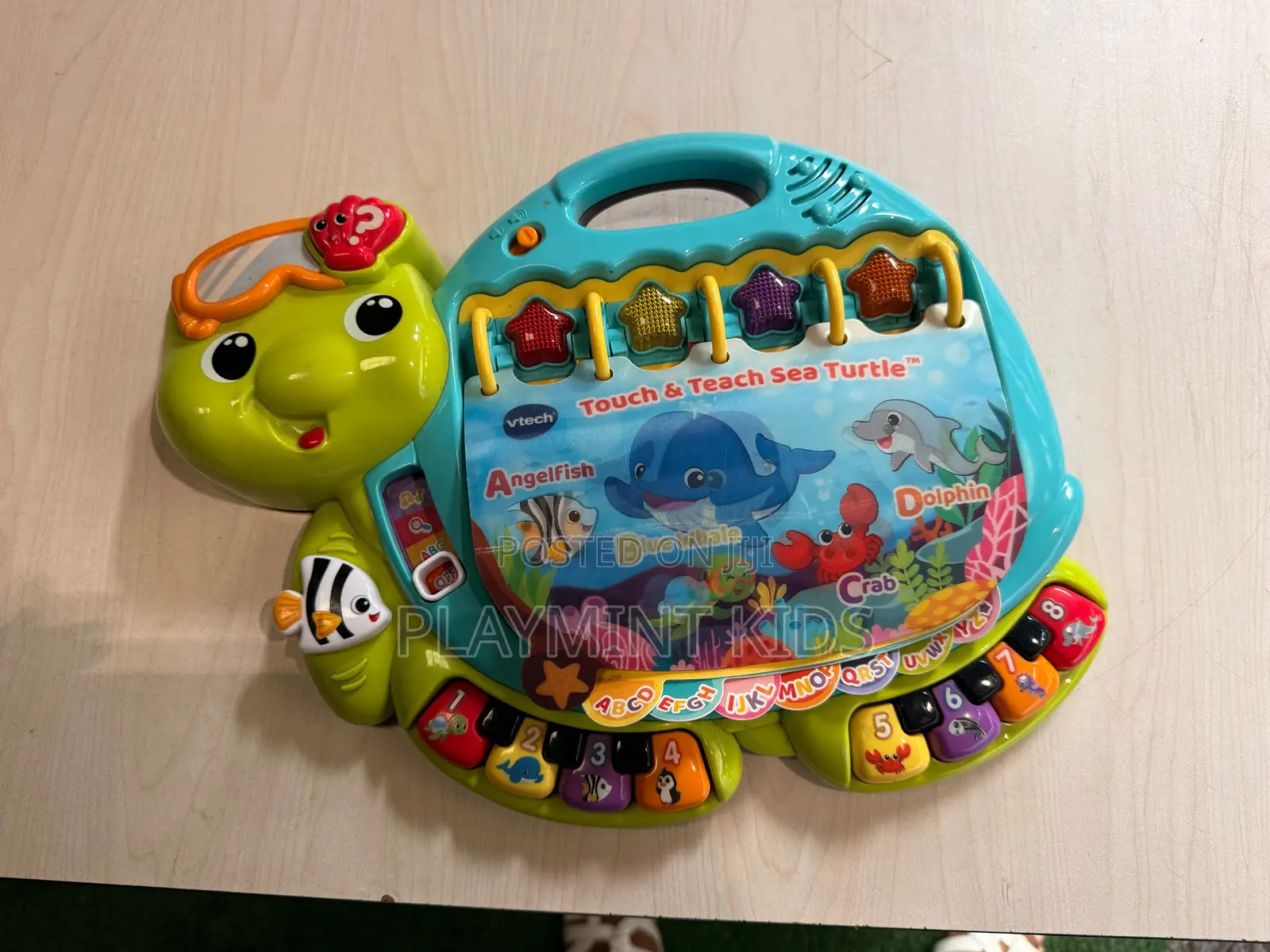 VTech Touch and Teach Turtle