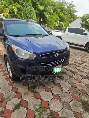 Hyundai Tucson 2013 Blue