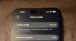 Apple iPhone 15 Pro Max 256 GB Gray