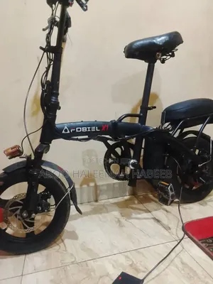 Electric Bicycle