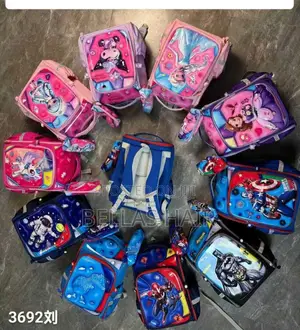 Box School Bag