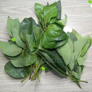 Herbal Treatment for Pile, Hermohoids, STDs, Staphylococcus, Syphilis