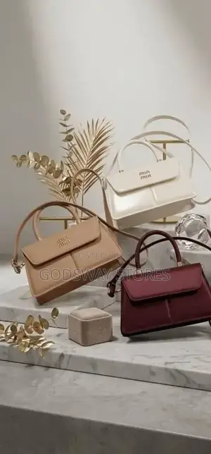 Luxury Women's Mini Handbag
