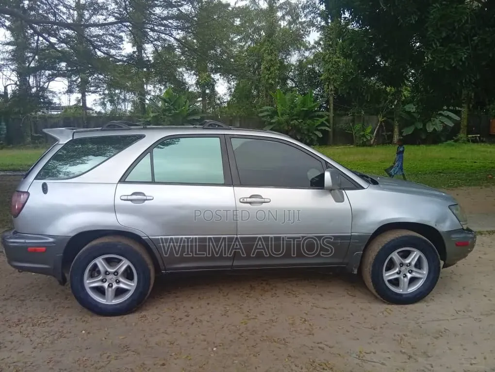 Lexus RX 2001 Silver