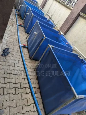Fish Trampoline 4by4