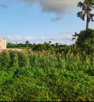 3 Acres of Land for Sell