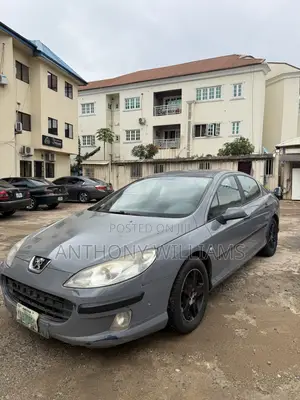 Peugeot 407 2005 Gray