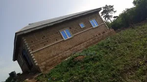 Contractor